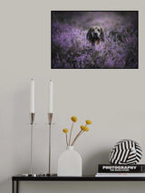 My Private Hideaway Poster och Canvastavla