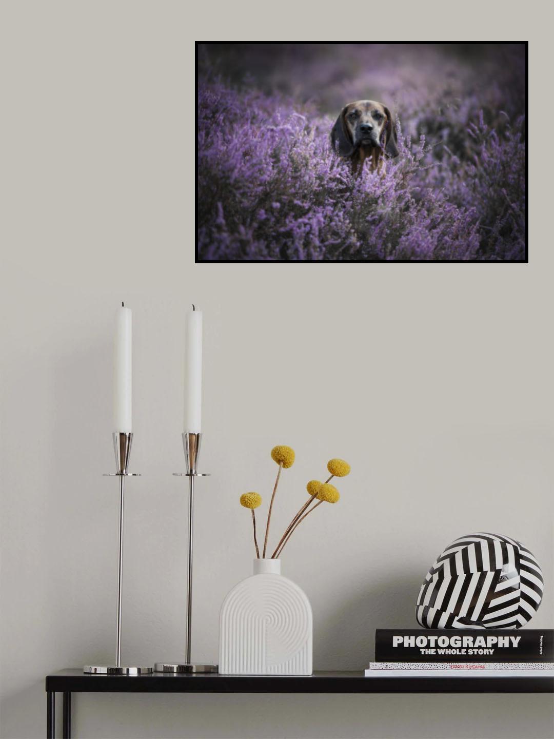 My Private Hideaway Poster och Canvastavla