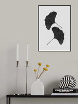 Ginkgo Leaf Black &amp; White II Poster och Canvastavla