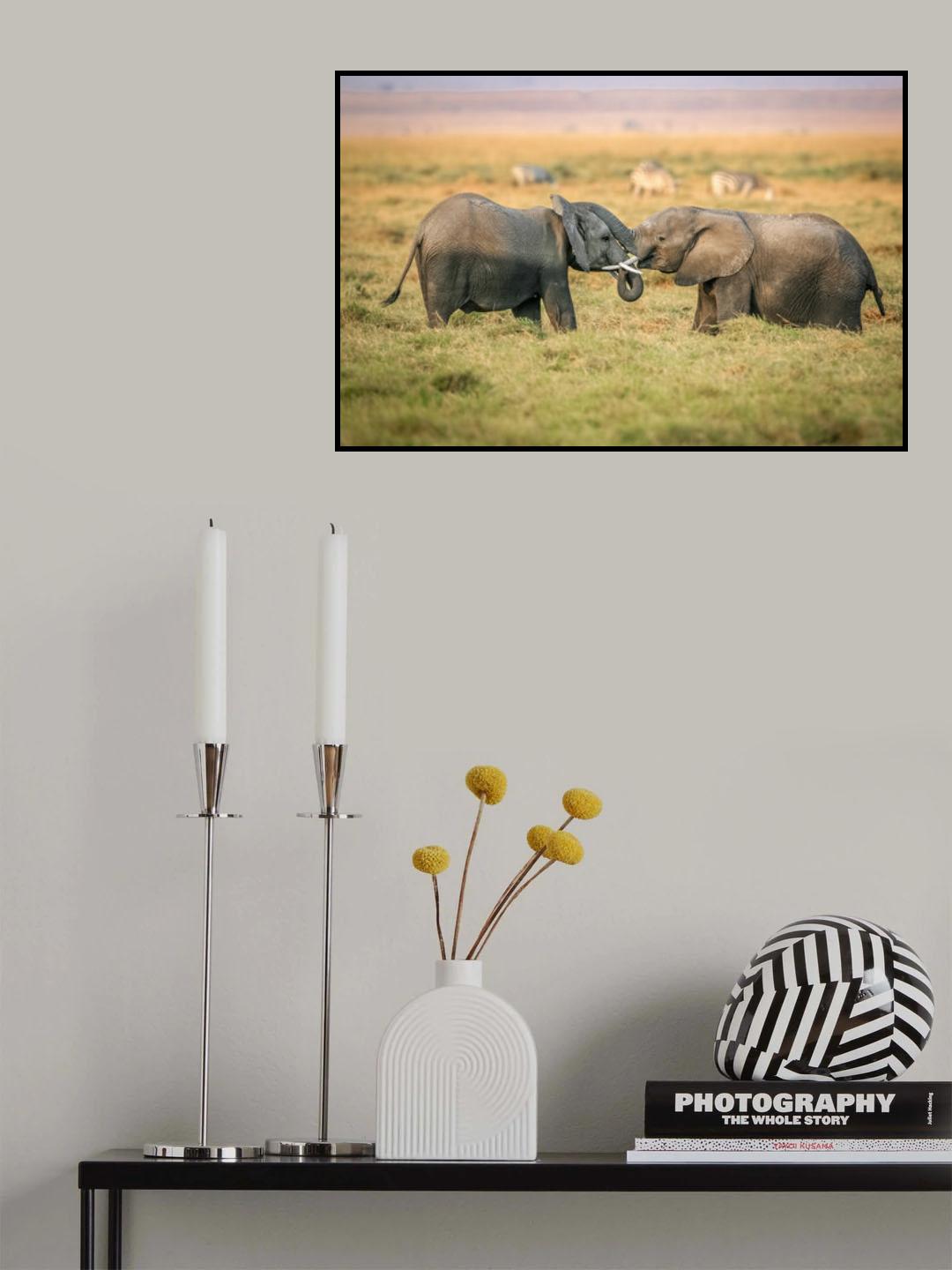 Love sweet love Poster och Canvastavla