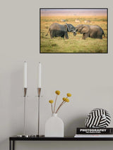 Love sweet love Poster och Canvastavla