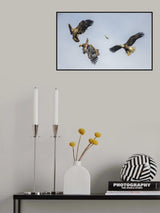 Three and One Poster och Canvastavla