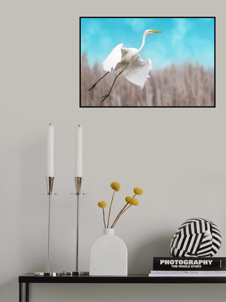 Great egret taking off Poster och Canvastavla