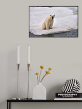 Singer Poster och Canvastavla