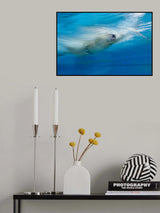 high speed swimmer Poster och Canvastavla