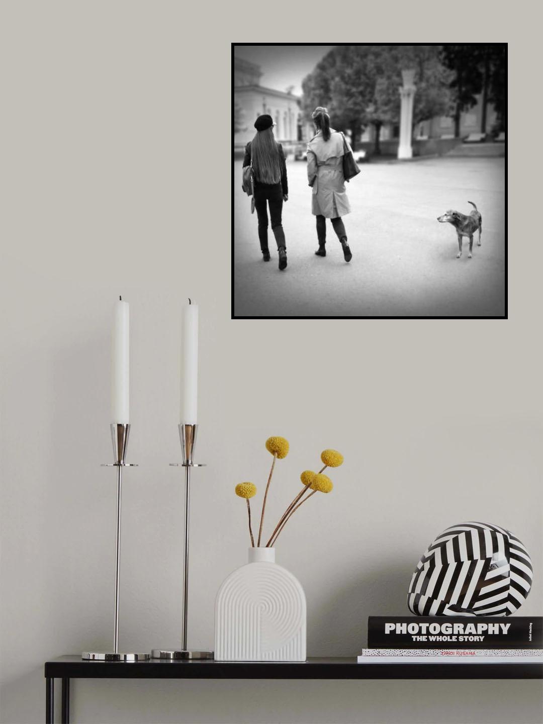 Dog's life Poster och Canvastavla