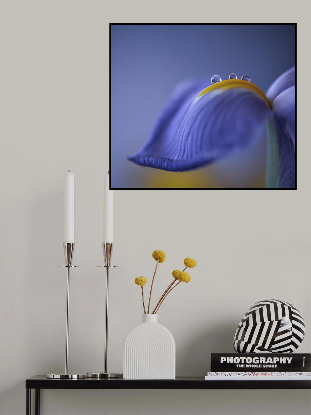 Spring is just around the corner Poster och Canvastavla