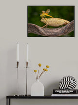 on head Poster och Canvastavla