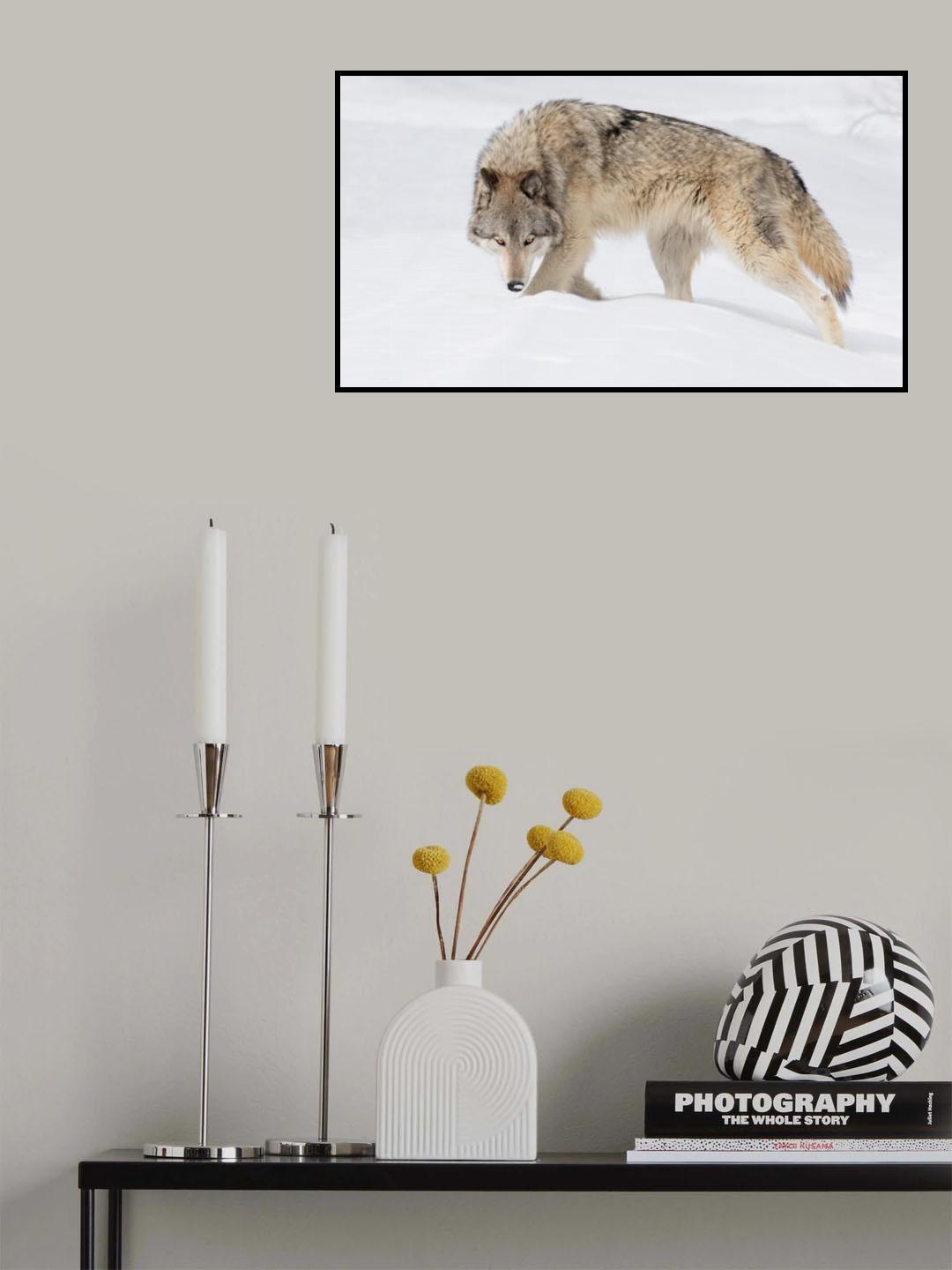 Gary Wolf Poster och Canvastavla