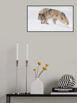 Gary Wolf Poster och Canvastavla