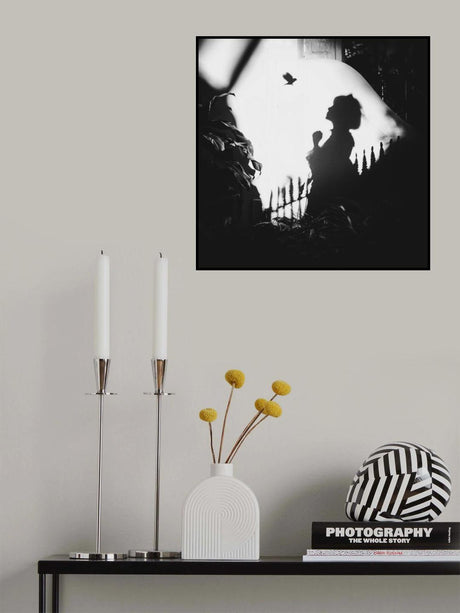 Shadows on the Wall Poster och Canvastavla