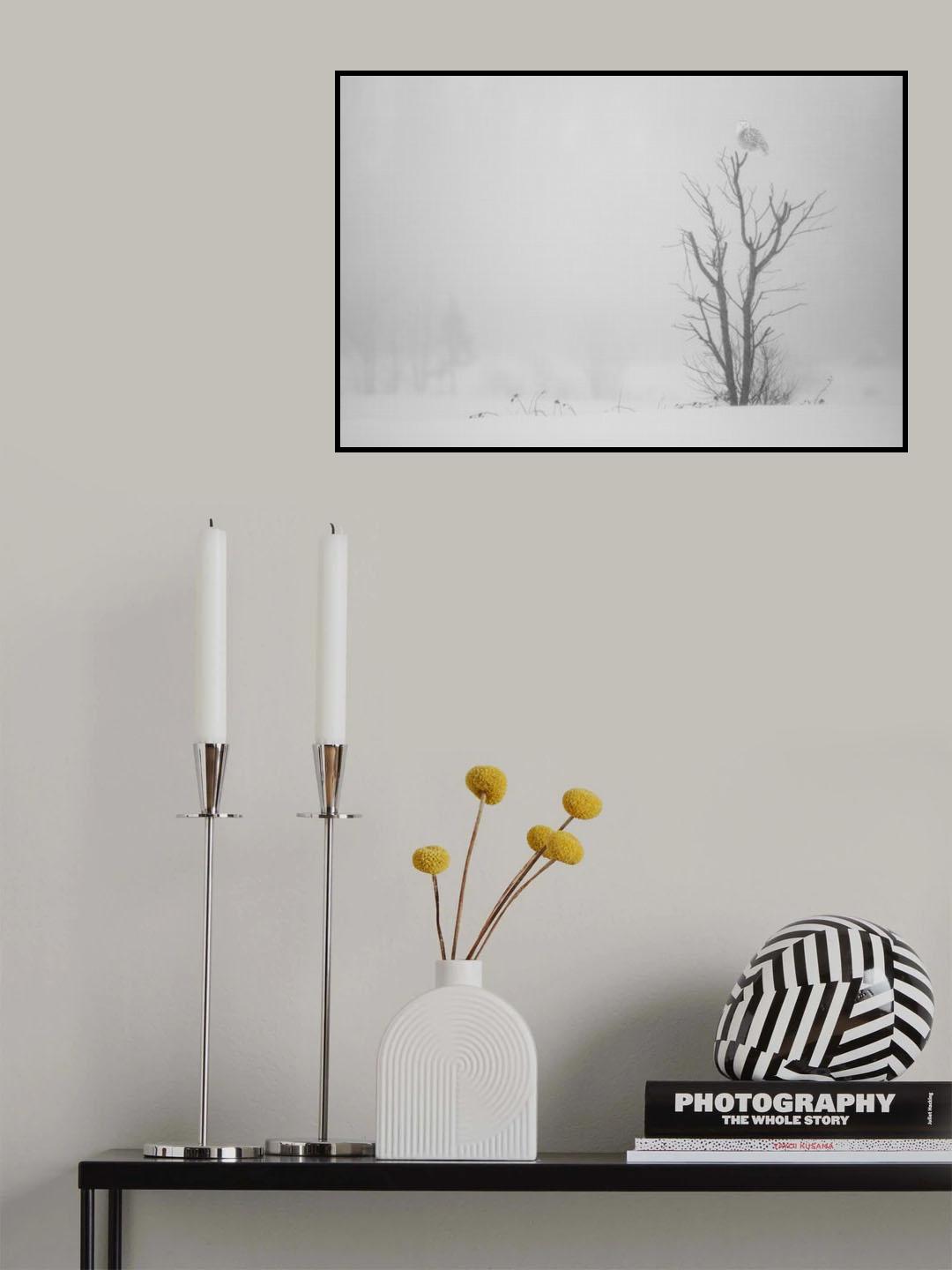 Cold White Poster och Canvastavla
