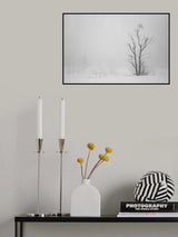 Cold White Poster och Canvastavla