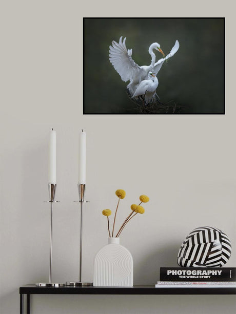 The spring story (7) Poster och Canvastavla
