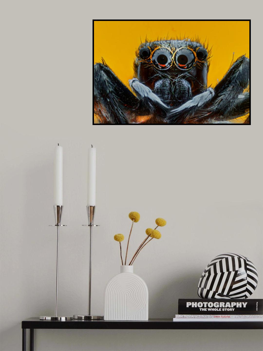 The Spider Poster och Canvastavla