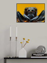 The Spider Poster och Canvastavla