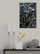 stripped eels Poster och Canvastavla