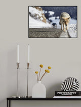Road Risk Poster och Canvastavla