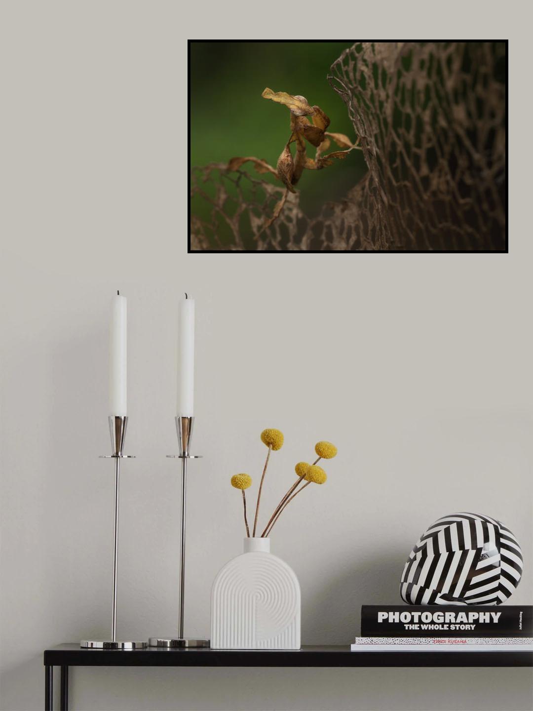 ghost mantis Poster och Canvastavla