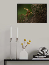 ghost mantis Poster och Canvastavla