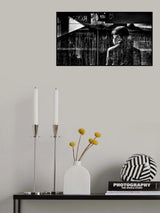 C-19 Poster och Canvastavla