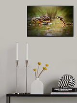 Face To Face Poster och Canvastavla