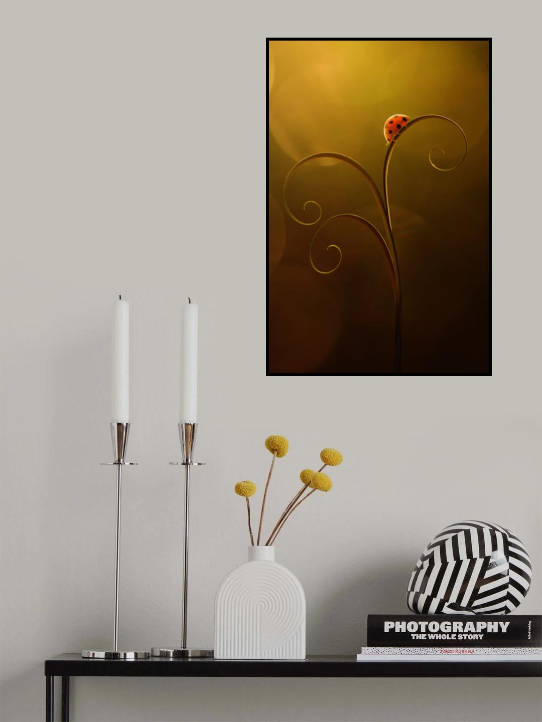 Ladybug Moody in the summer day Poster och Canvastavla