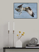 Oops, I am in trouble! Poster och Canvastavla