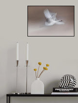 Fly Poster och Canvastavla