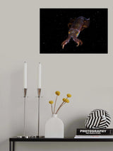Squid in space Poster och Canvastavla