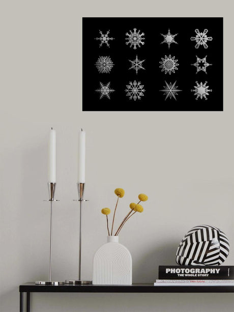 Twelve geometric snowflakes in black Poster och Canvastavla