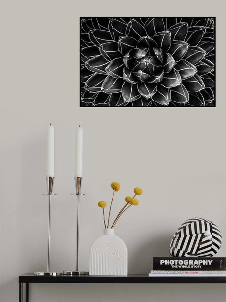 Natural math Poster och Canvastavla