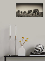 The ancestral march Poster och Canvastavla