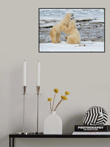Big Boys Poster och Canvastavla