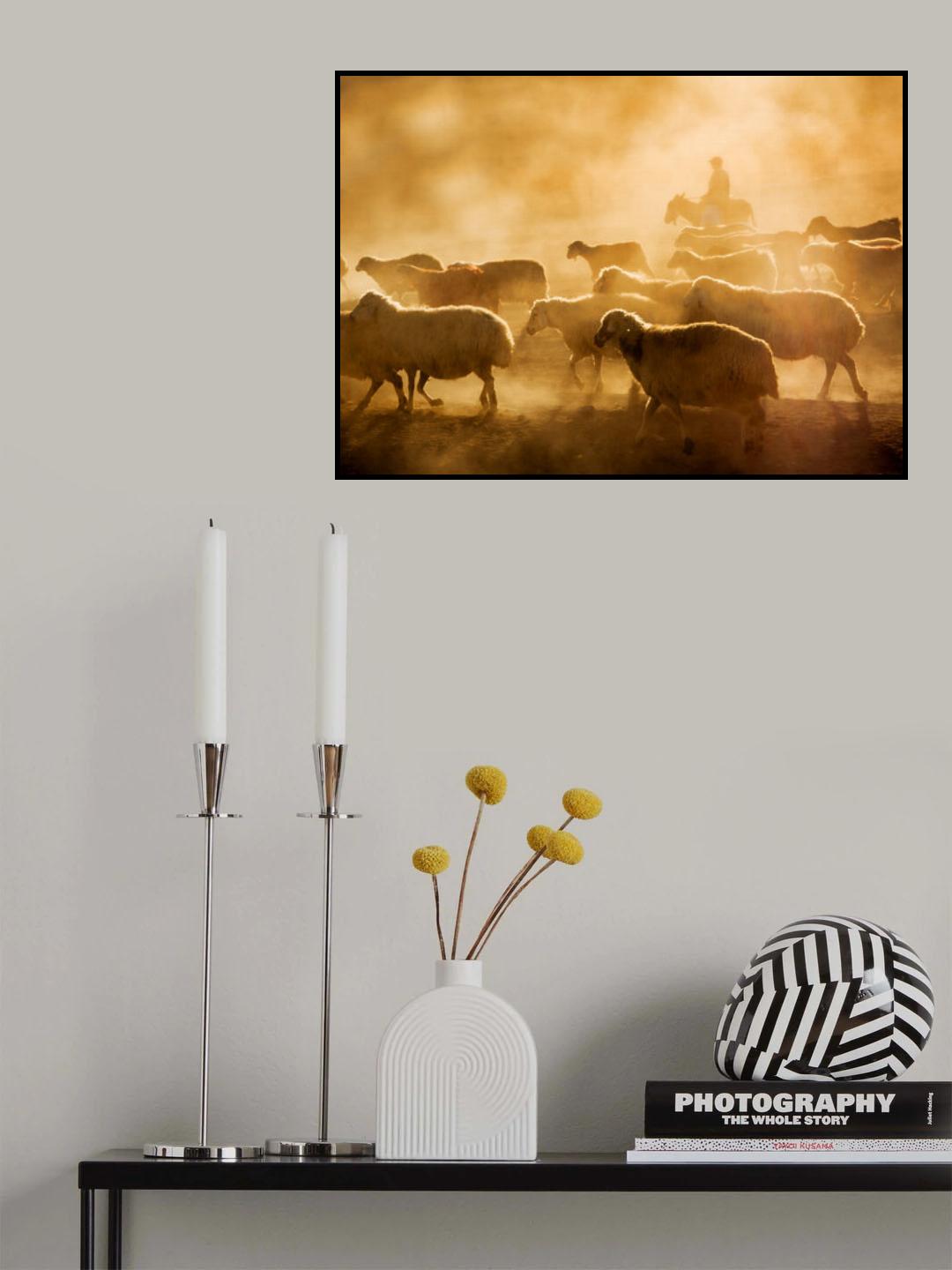 sheep flock Poster och Canvastavla