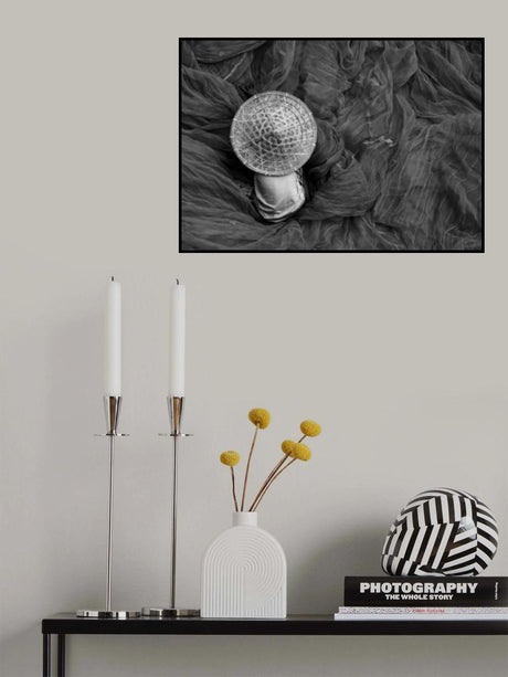 The net weaver II Poster och Canvastavla