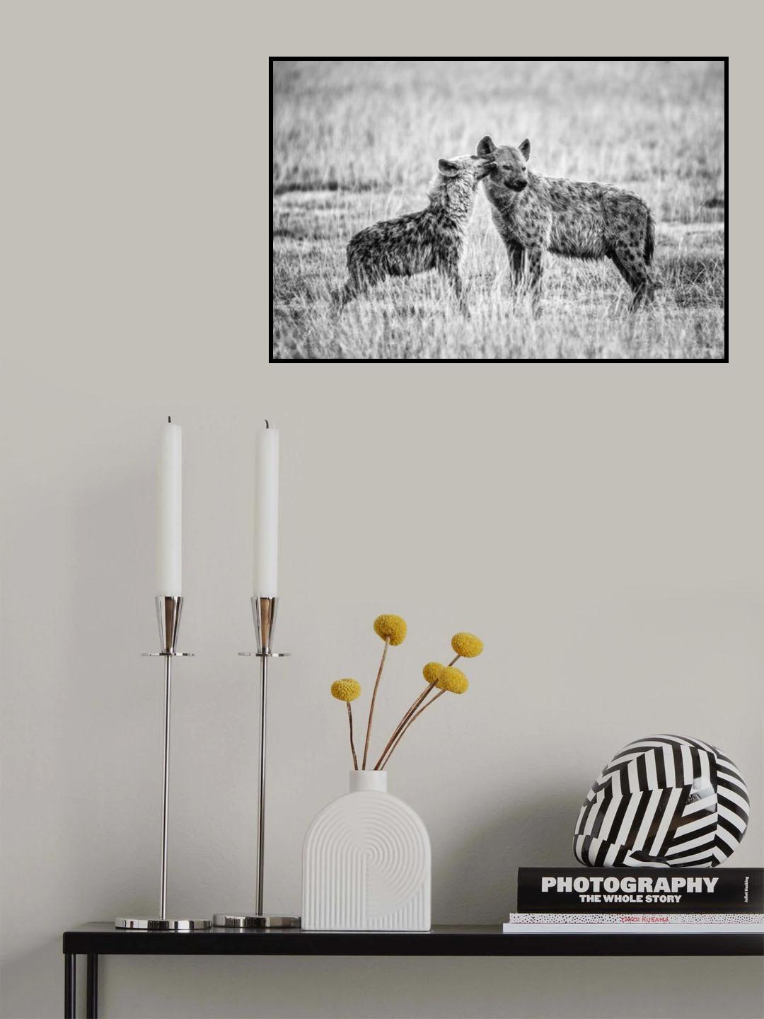 Hyena Poster och Canvastavla