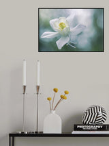 Purity Poster och Canvastavla