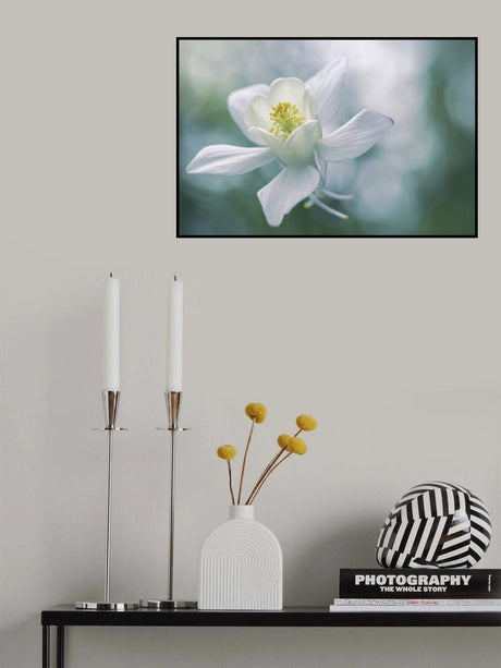 Purity Poster och Canvastavla