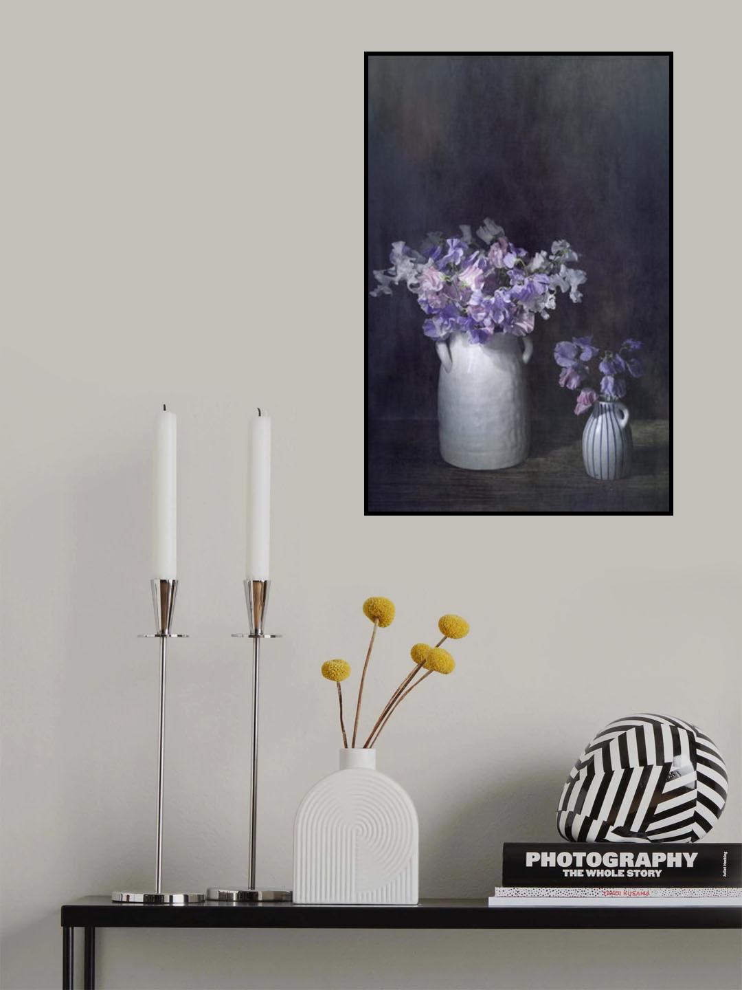 Etherial Lathyrus Poster och Canvastavla