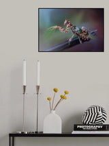 9 Poster och Canvastavla