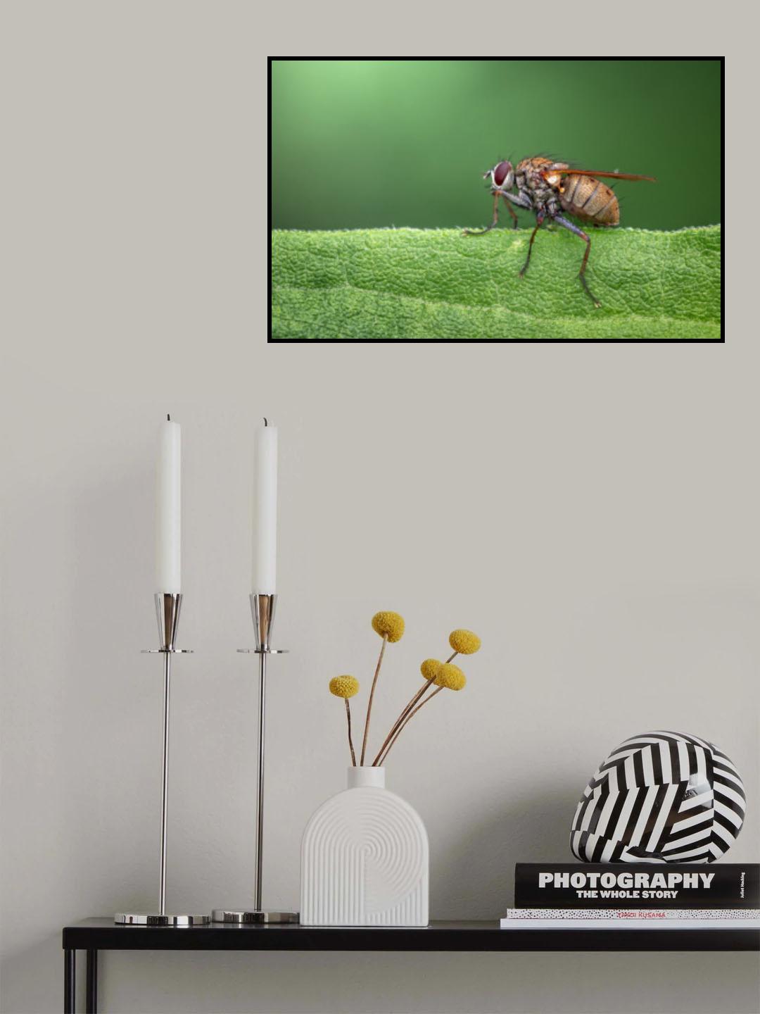 Living on the edge Poster och Canvastavla