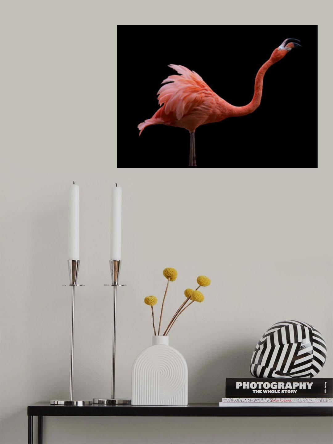 Flamingo Poster och Canvastavla