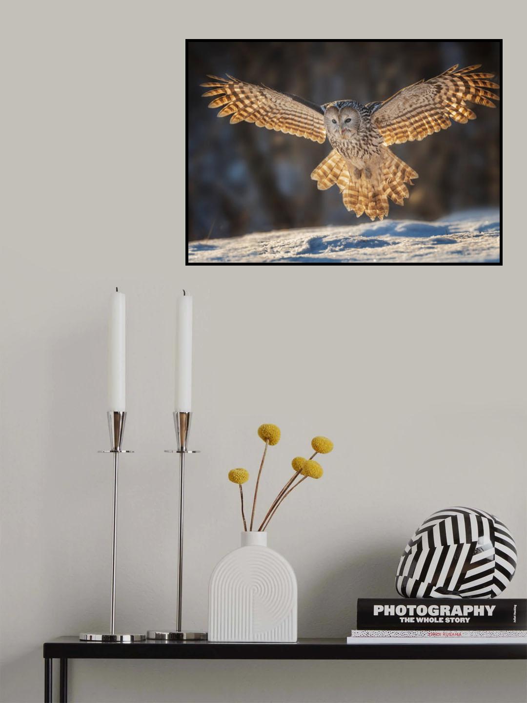Baby, let me hug you Poster och Canvastavla