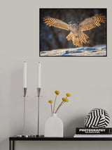 Baby, let me hug you Poster och Canvastavla