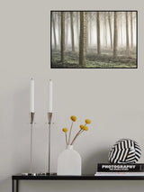 Small woodland Poster och Canvastavla