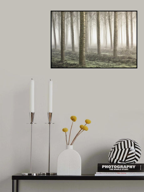 Small woodland Poster och Canvastavla