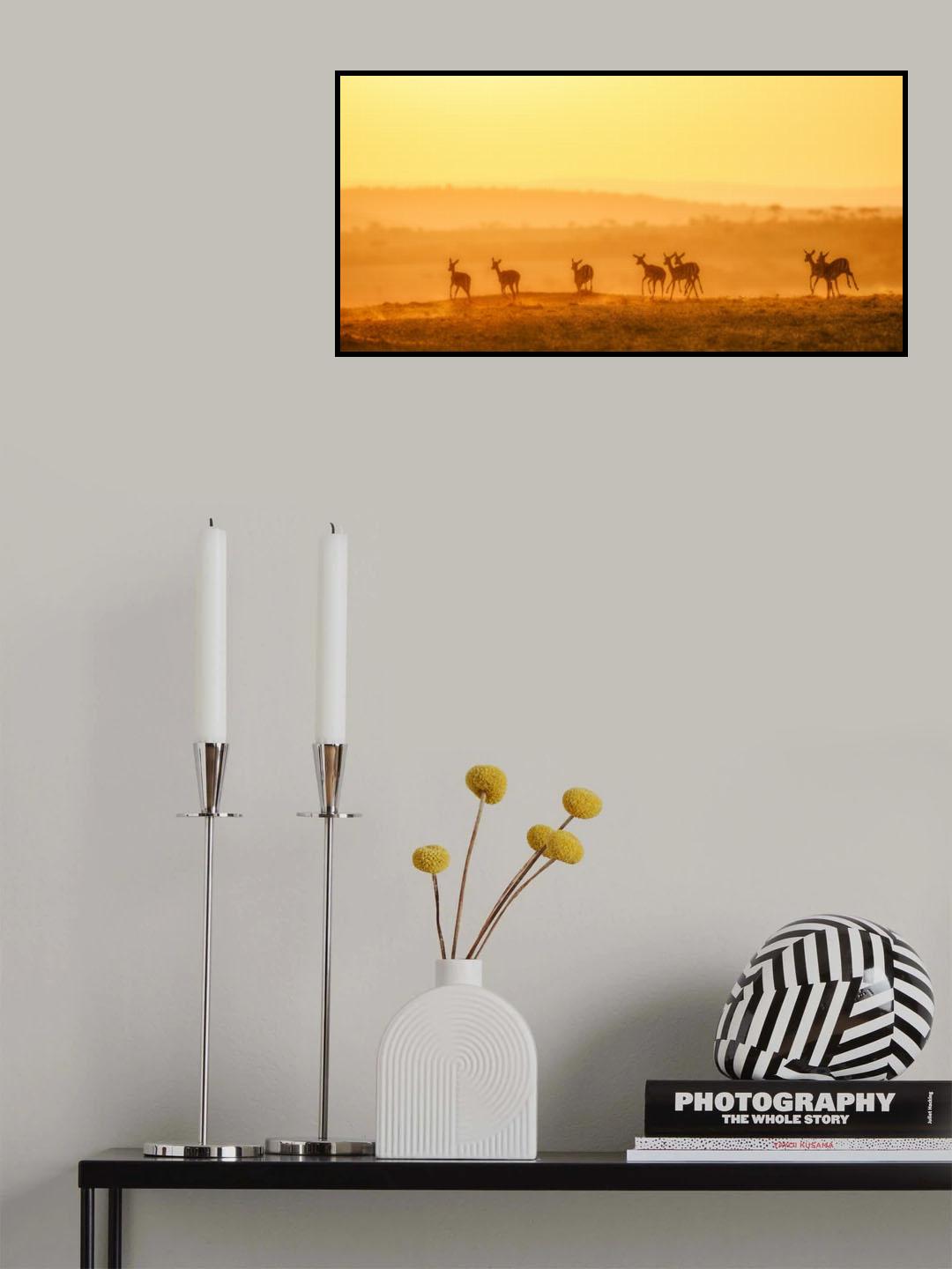 Towards Sunset Poster och Canvastavla