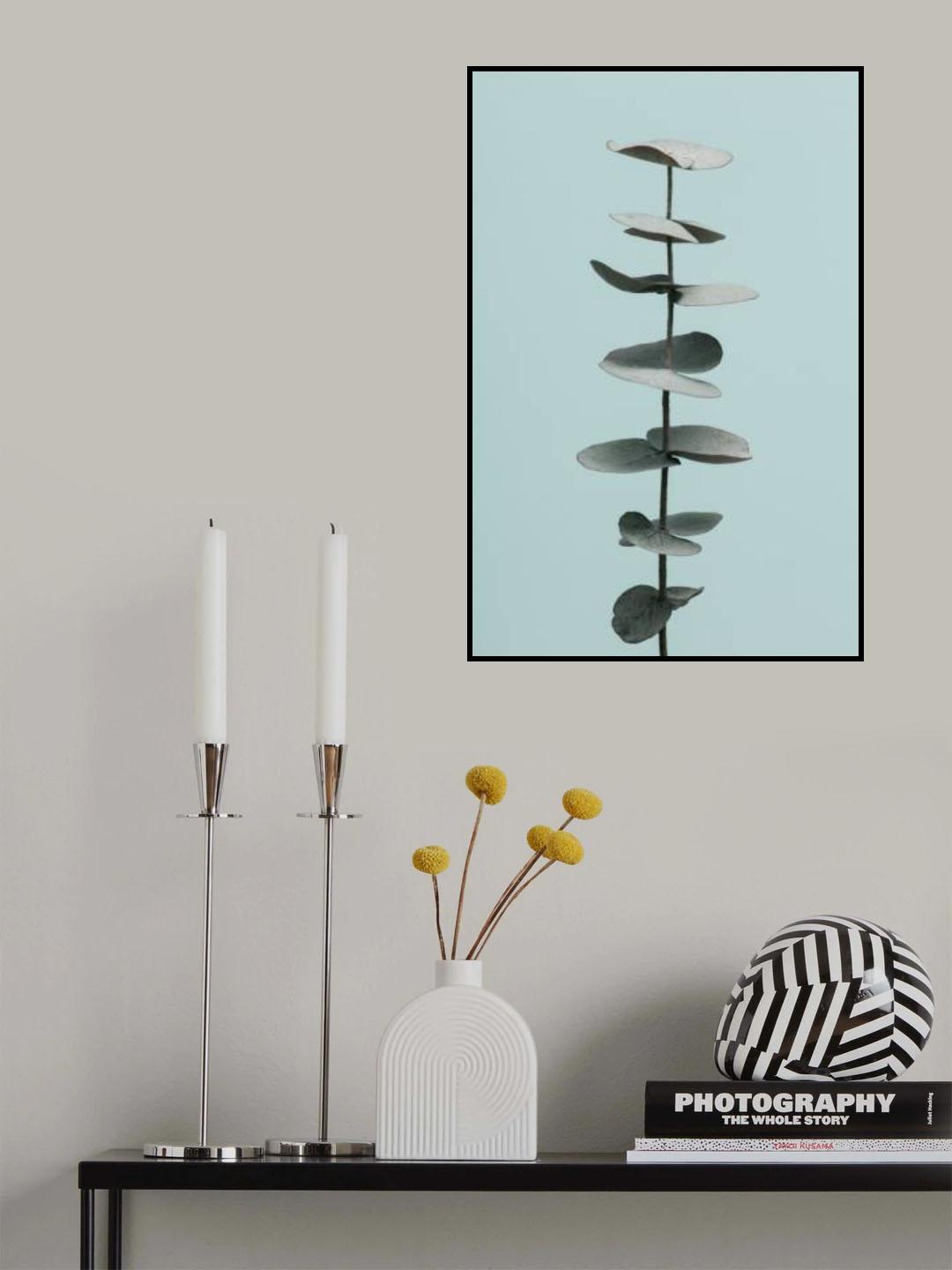 Eucalyptus Blue No 1 Poster och Canvastavla