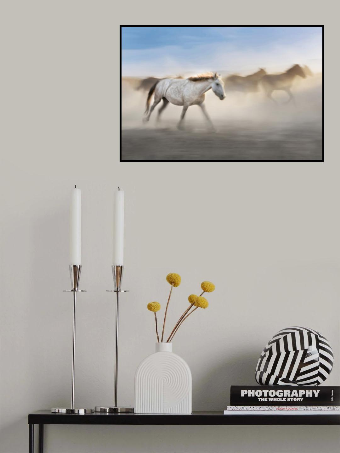 white horse Poster och Canvastavla
